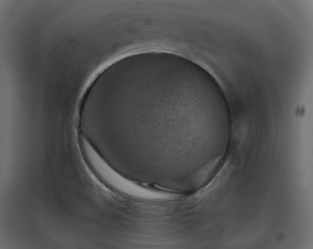 X0000097761508200803071243