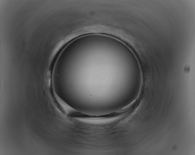 X0000097761509200803071243