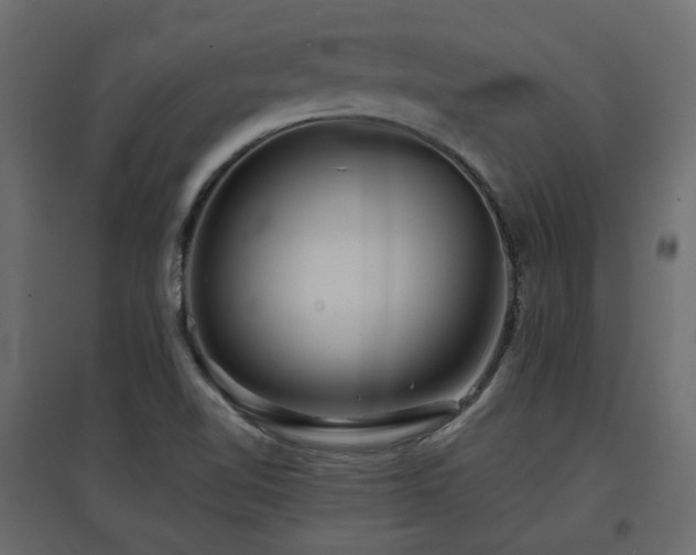 X0000097761510200803071243