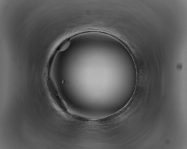 X0000097761511200803071243