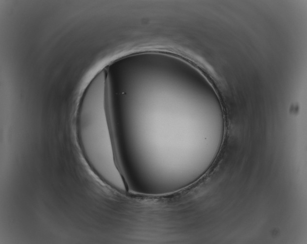 X0000097761512200803071243