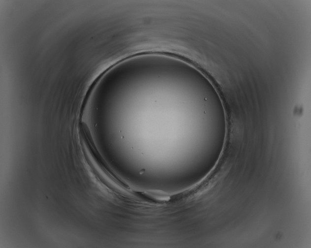 X0000097761513200803071243