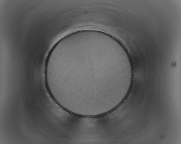 X0000097761514200803071243