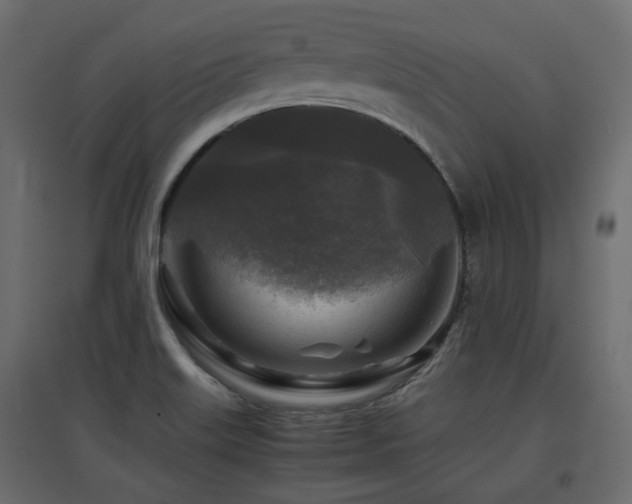 X0000097761515200803071243