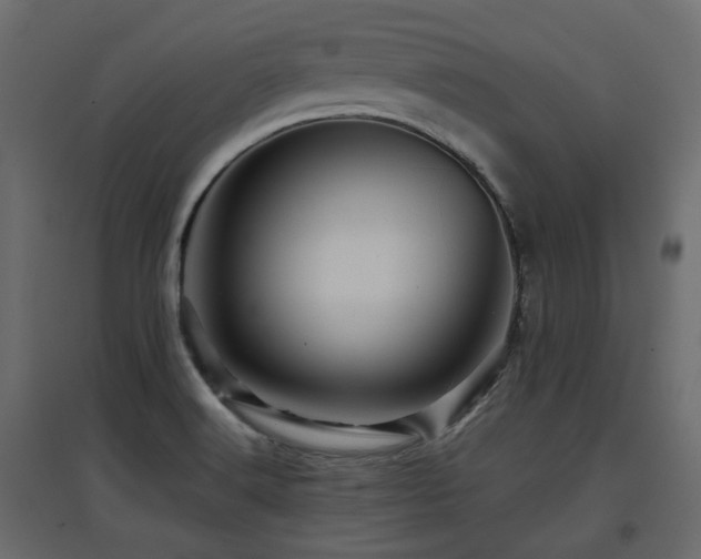 X0000097761516200803071243