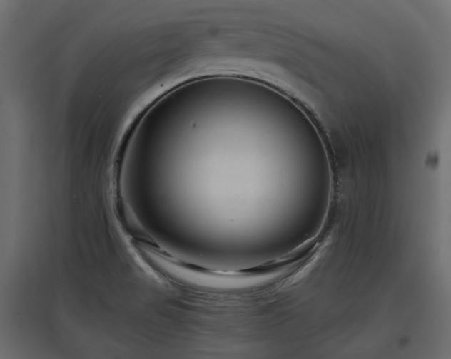 X0000097761517200803071243