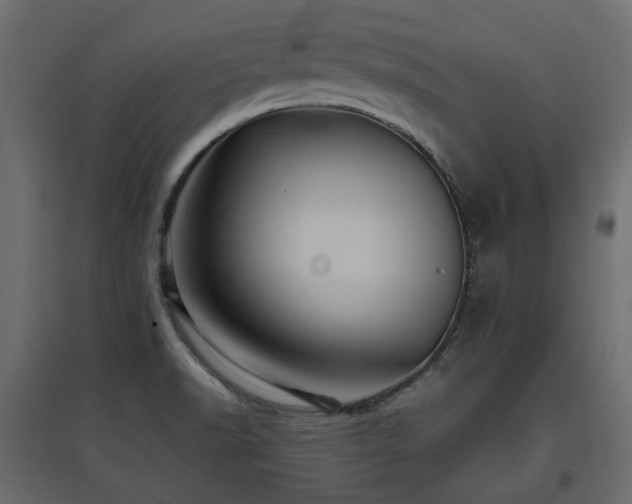 X0000097761518200803071243