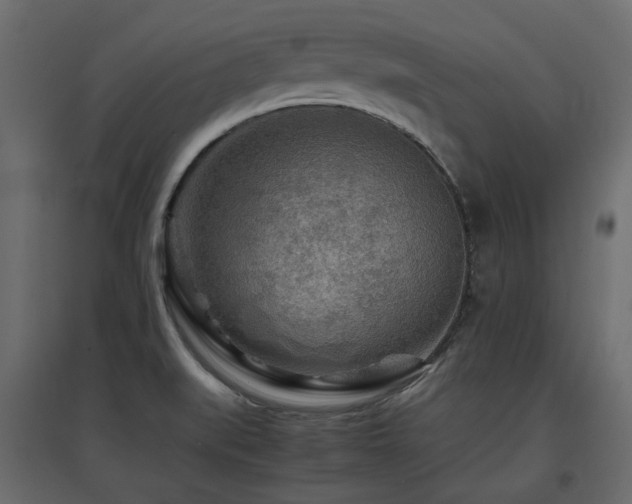 X0000097761519200803071243