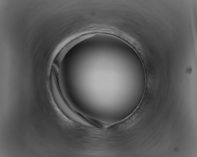 X0000097761520200803071243