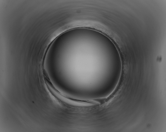 X0000097761521200803071243