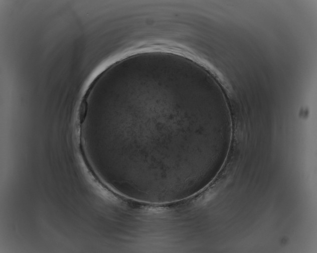 X0000097761522200803071243