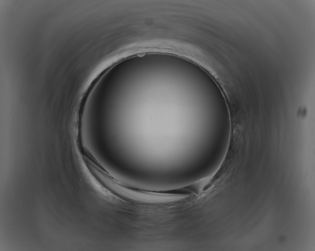 X0000097761523200803071243