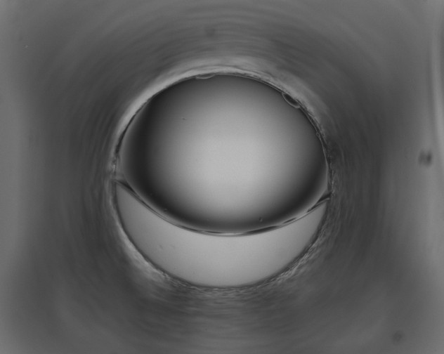 X0000097761524200803071243