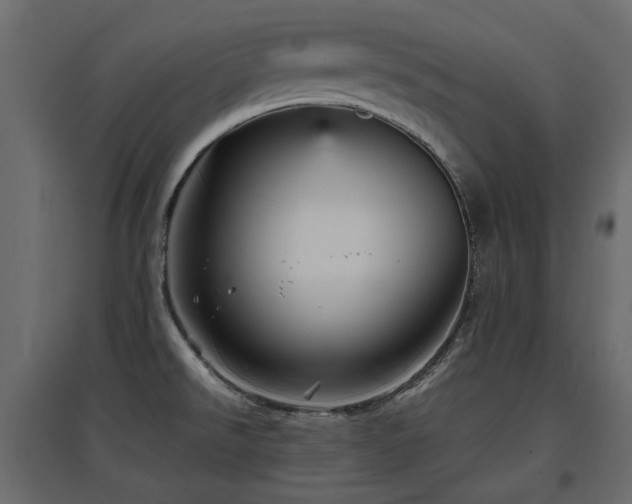 X0000097761526200803071243