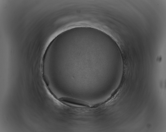 X0000097761527200803071243