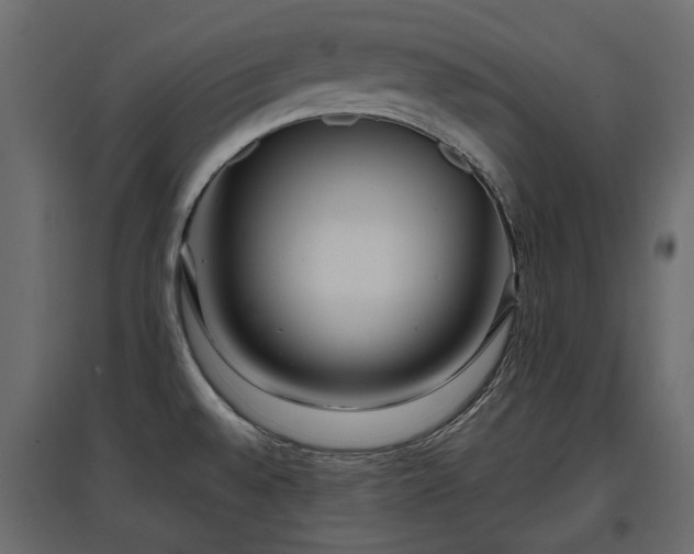 X0000097761528200803071243