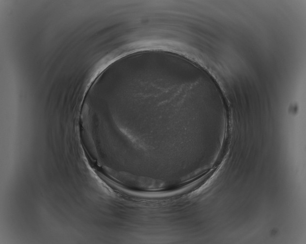 X0000097761529200803071243