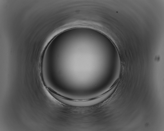 X0000097761531200803071243