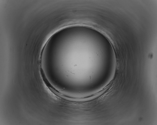 X0000097761532200803071243