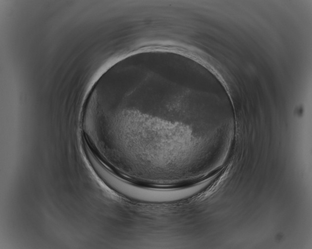 X0000097761533200803071243