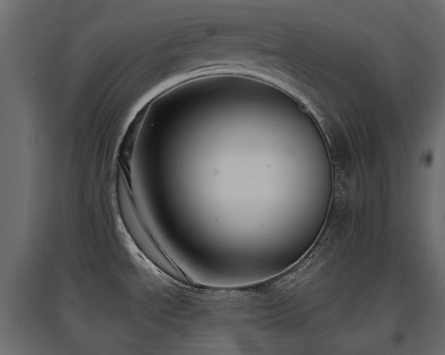 X0000097761534200803071243