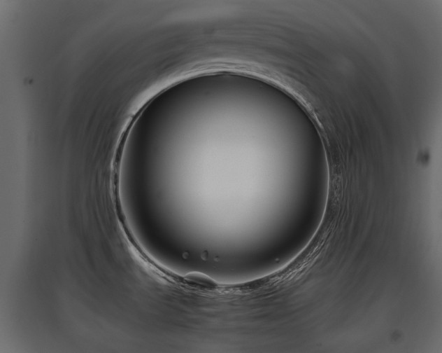 X0000097761535200803071243