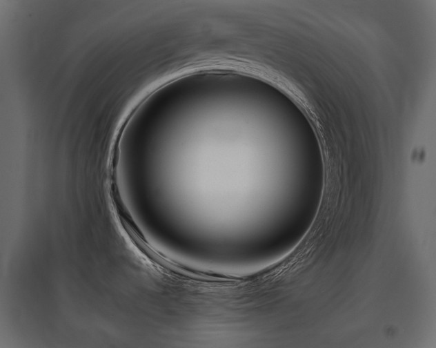 X0000097761536200803071243