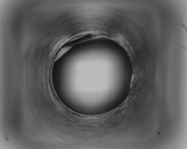 X0000097760001200803141733