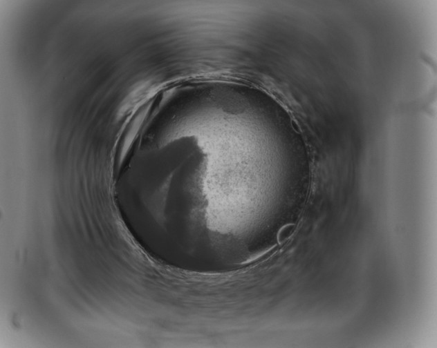 X0000097760002200803141733