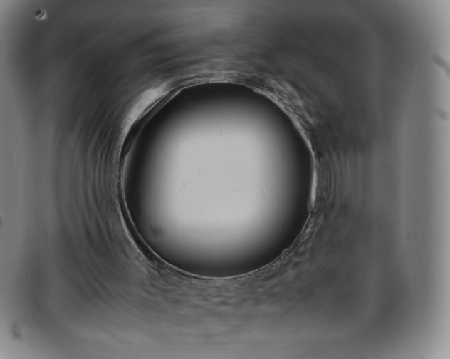 X0000097760003200803141733