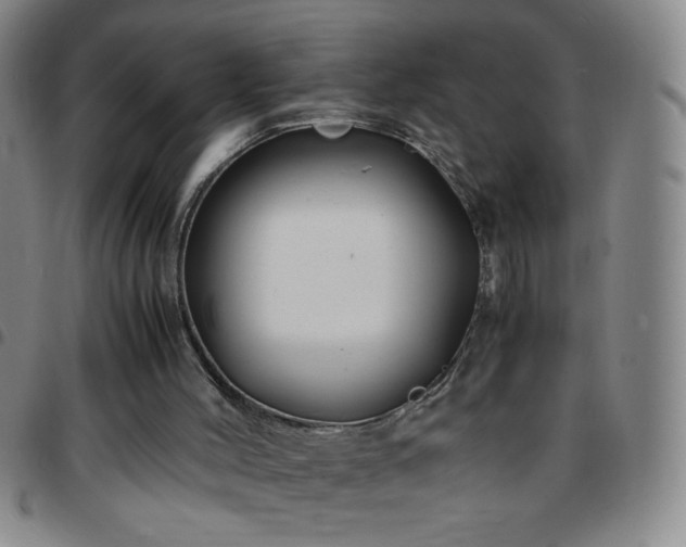 X0000097760004200803141733