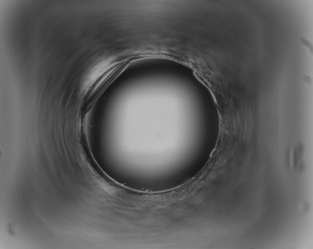 X0000097760005200803141733