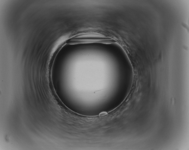 X0000097760006200803141733