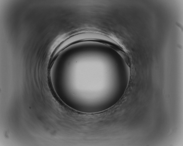 X0000097760007200803141733