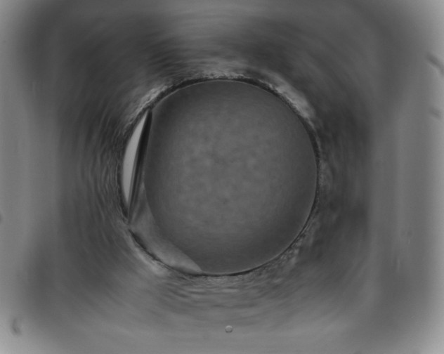 X0000097760009200803141733