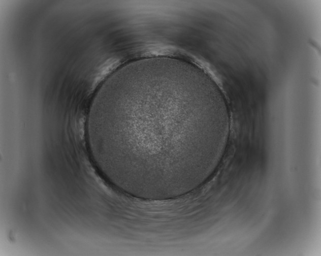 X0000097760010200803141733