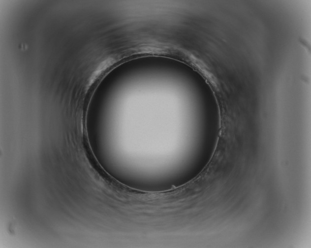 X0000097760011200803141733