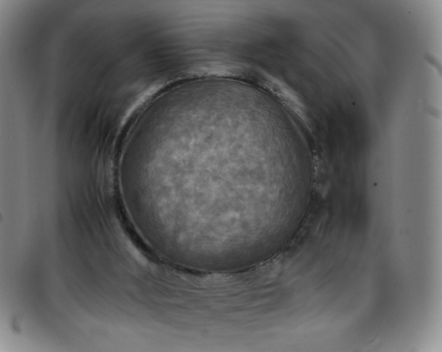 X0000097760012200803141733