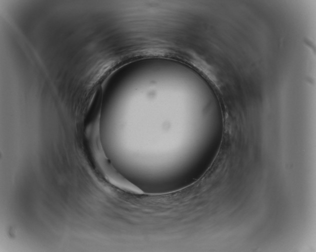 X0000097760013200803141733