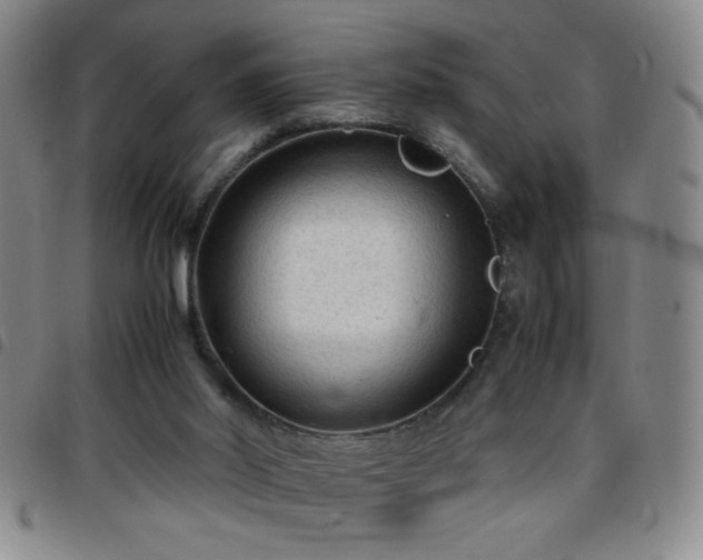 X0000097760014200803141733