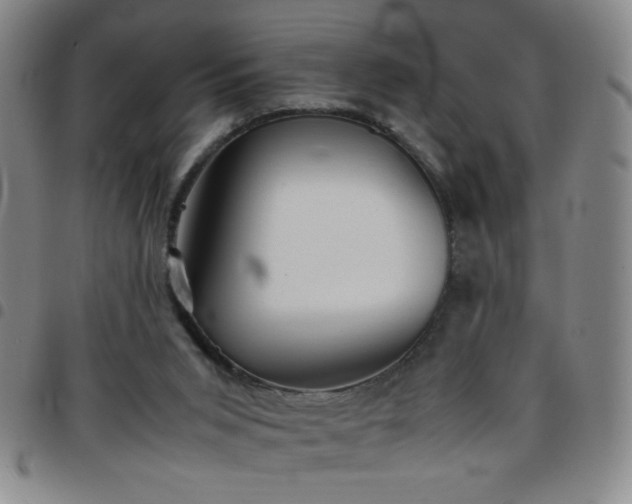 X0000097760015200803141733