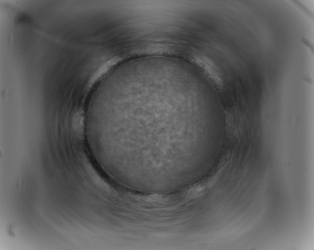 X0000097760016200803141733