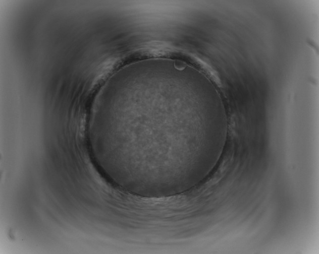 X0000097760018200803141733