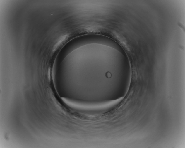 X0000097760019200803141733