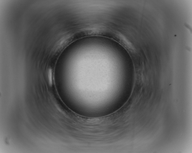 X0000097760022200803141733