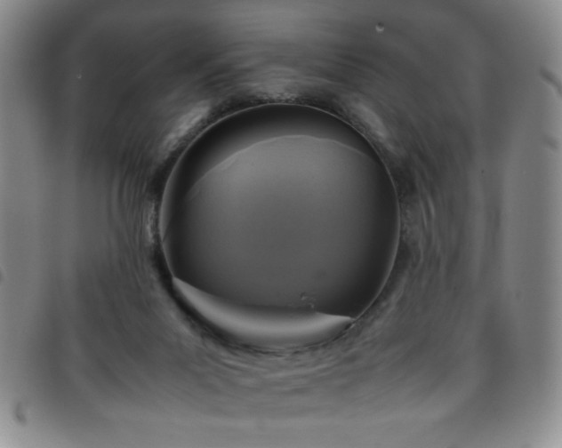 X0000097760023200803141733