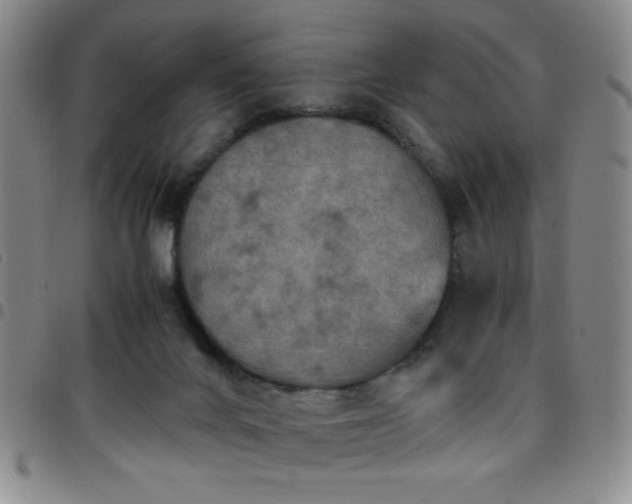 X0000097760024200803141733