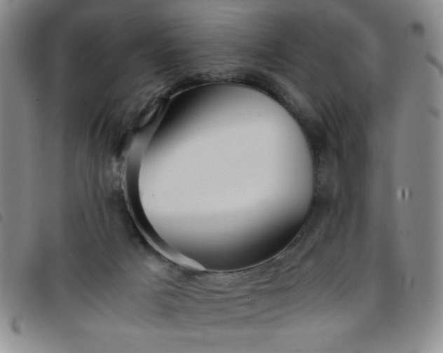 X0000097760025200803141733