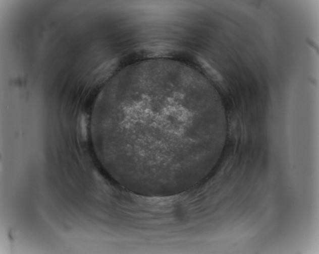 X0000097760026200803141733