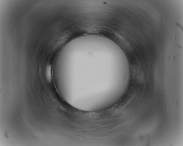 X0000097760028200803141733